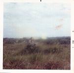scan0038