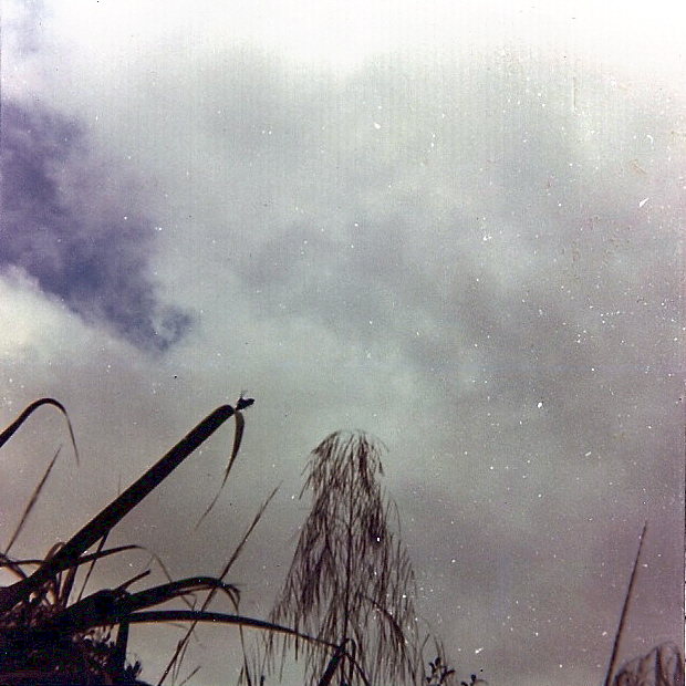 scan024