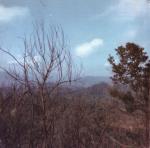 hillside view