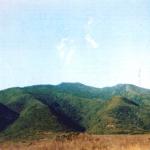 view3