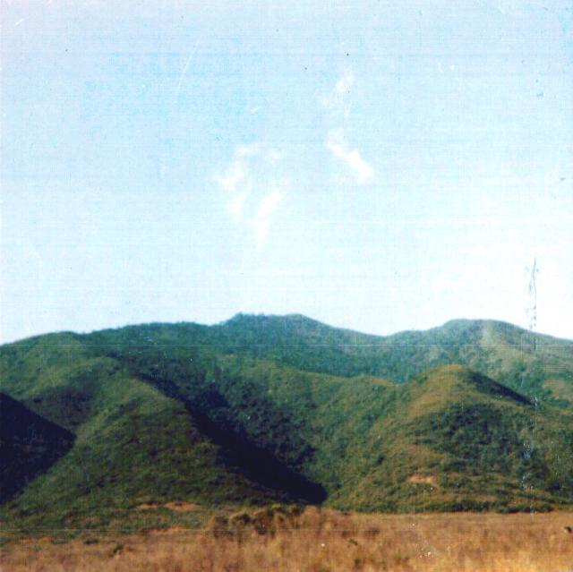 view3