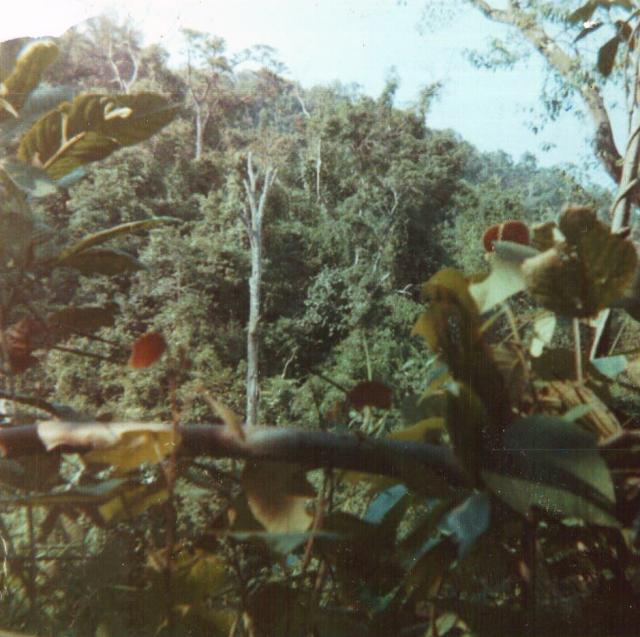 view from rakasan