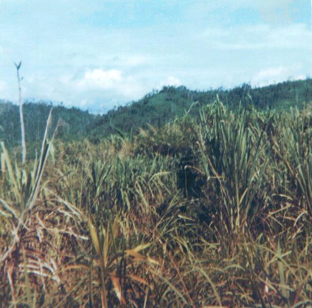 view of land