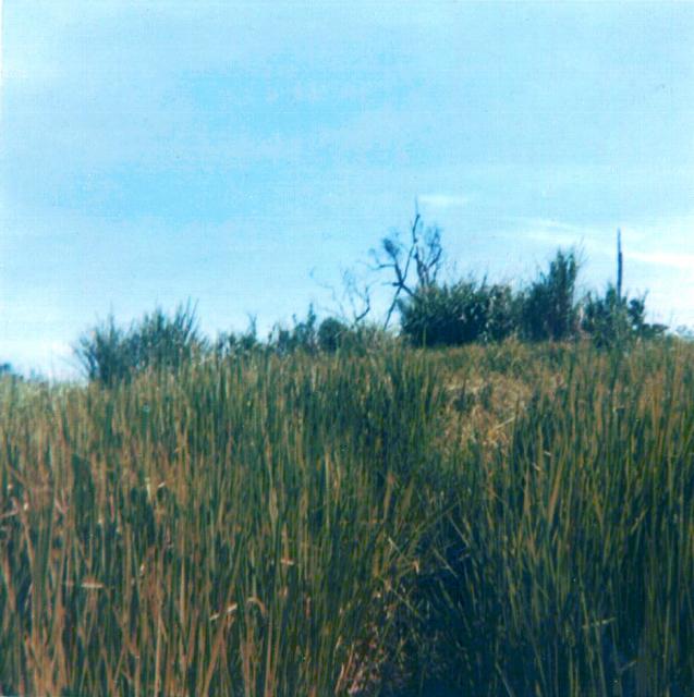 view of land 2