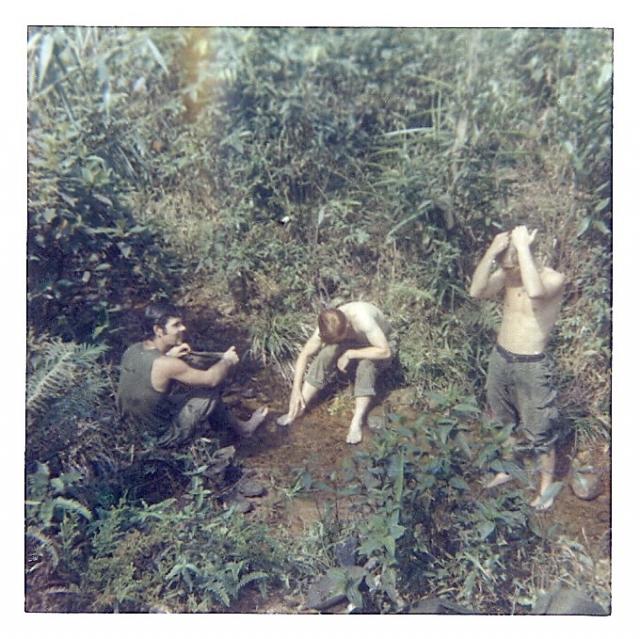 Cleanup Time in the Jungle