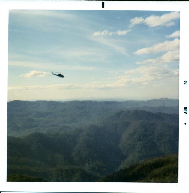 48 Cobra Working Out