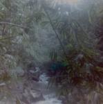 scan0006