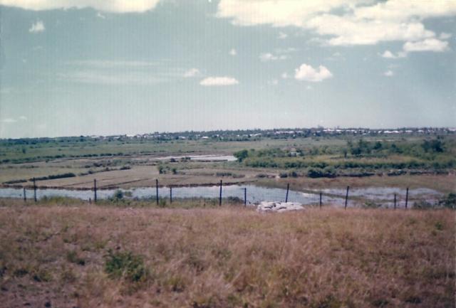 scan0137