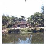 Vietnam Countryside 2